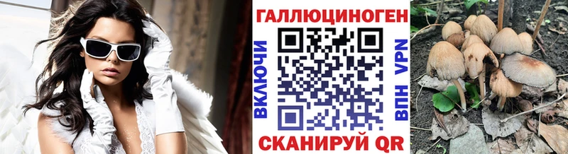 Псилоцибиновые грибы GOLDEN TEACHER  Аша 